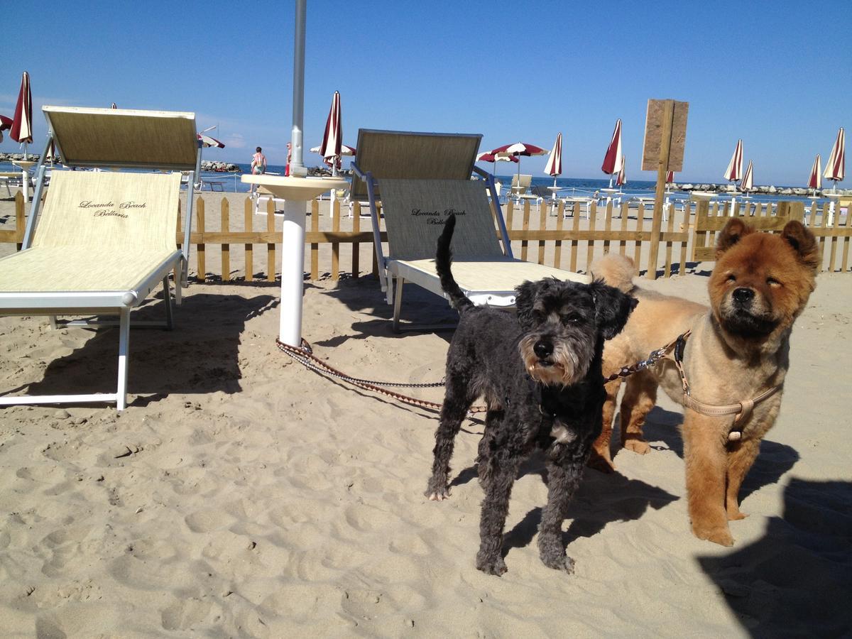 Hotel Locanda Delle Dune Bellaria-Igea Marina Eksteriør bilde